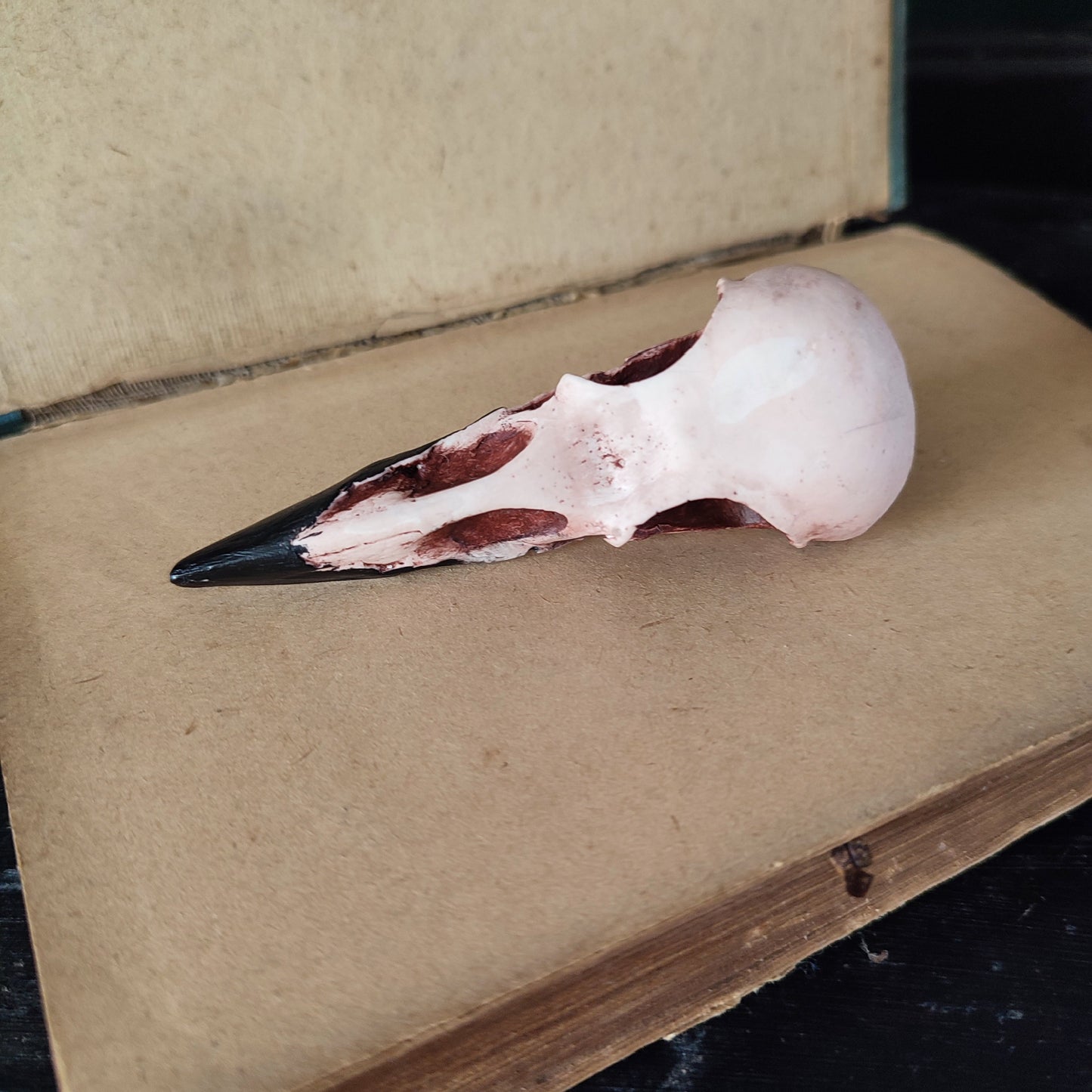 Large crow skull lapel pin