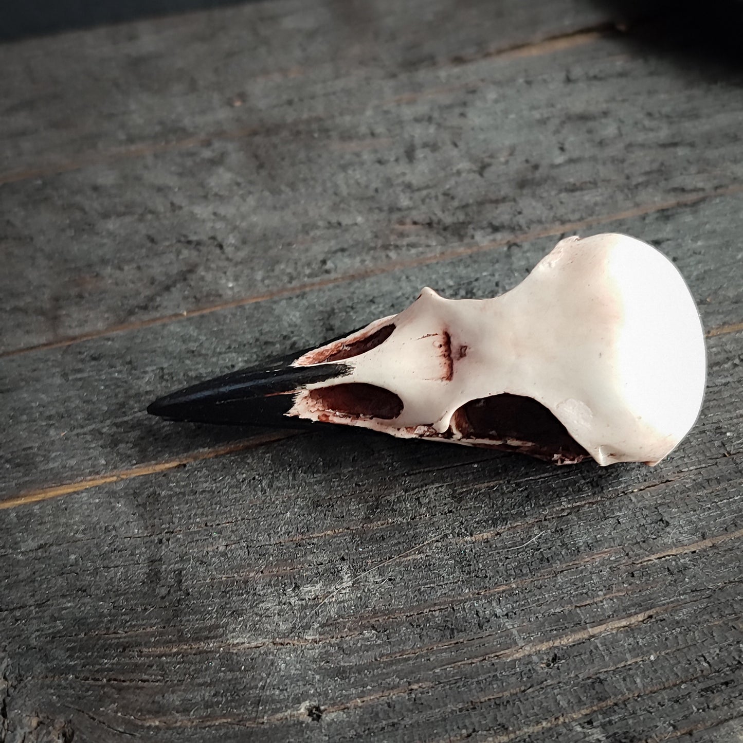 Crow skull brooch pin