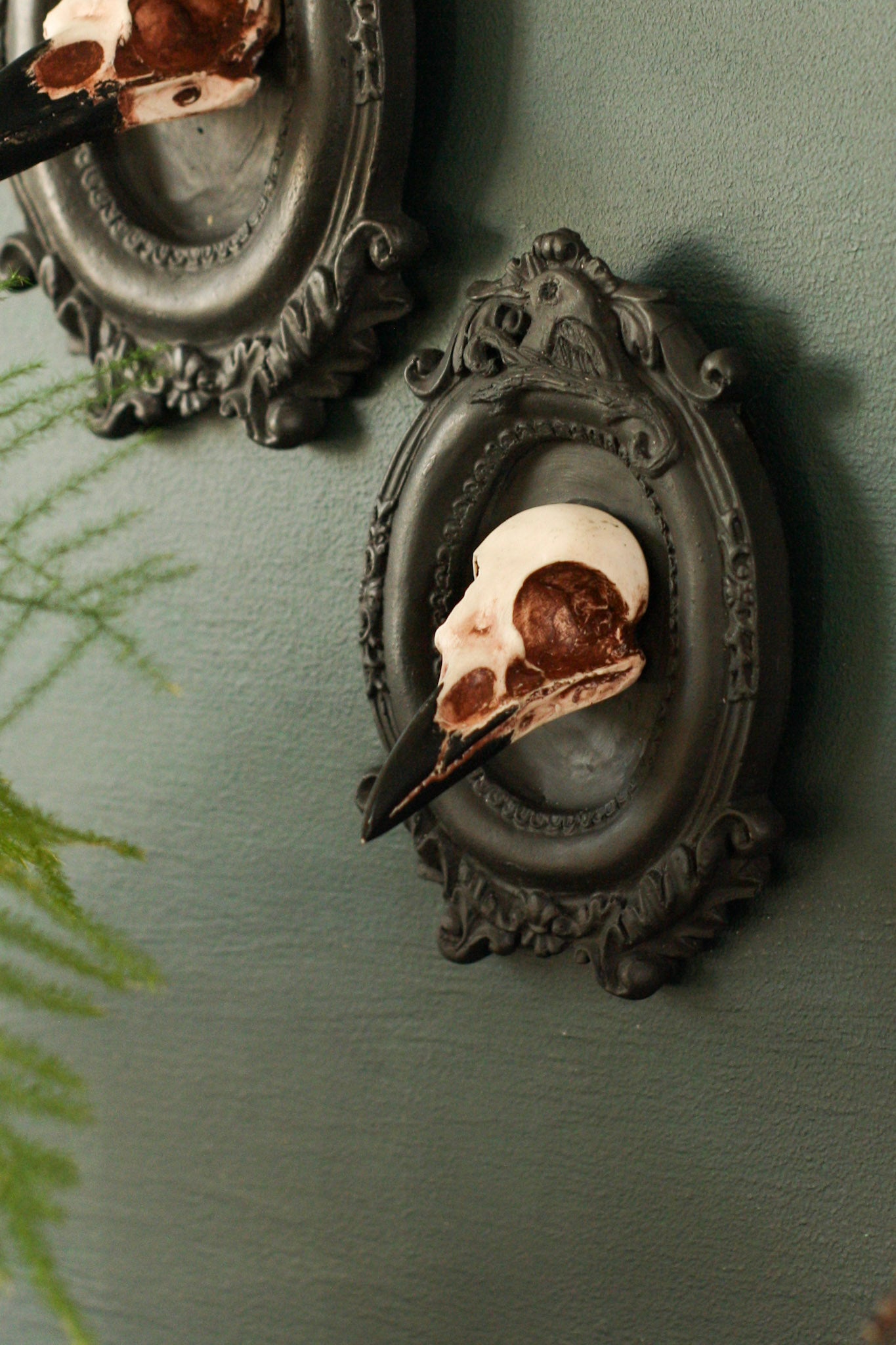 Framed Magpie Skull, 3D Gothic Wall Art