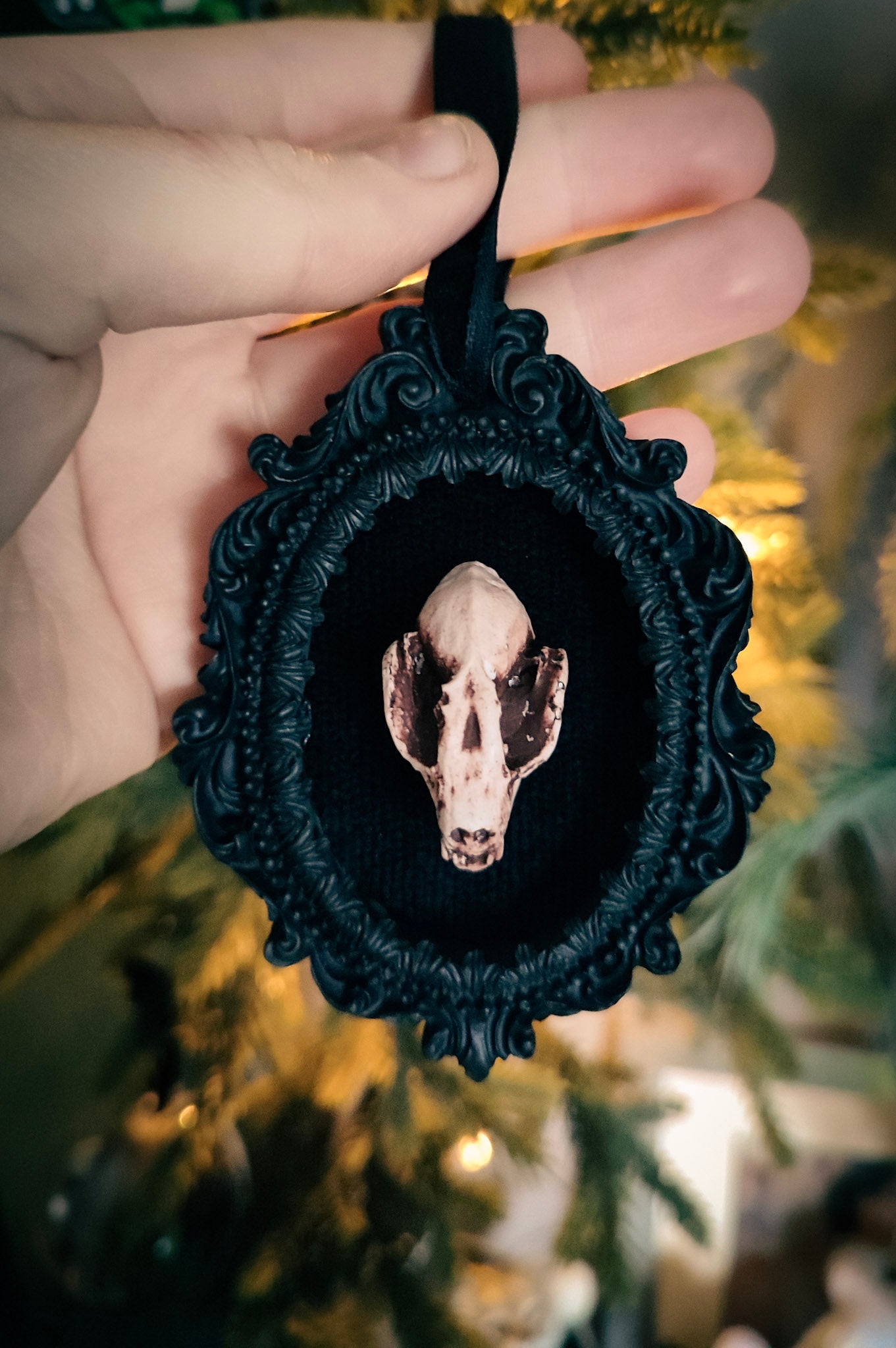 Framed bat skull christmas decoration