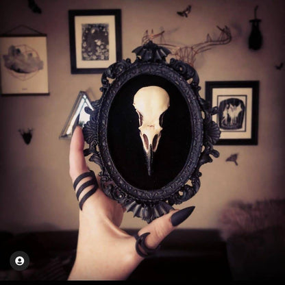 Framed Crow Skull Wall Art