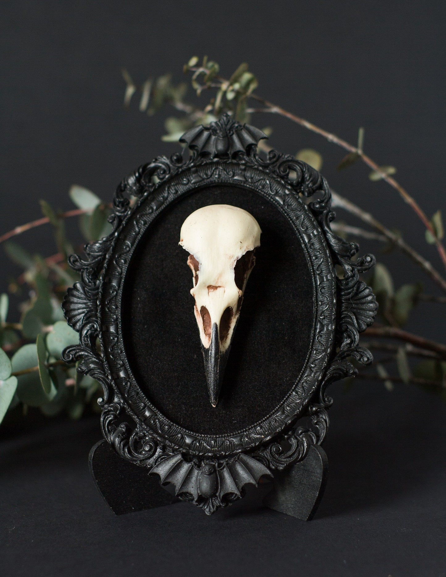 Framed Crow Skull Wall Art