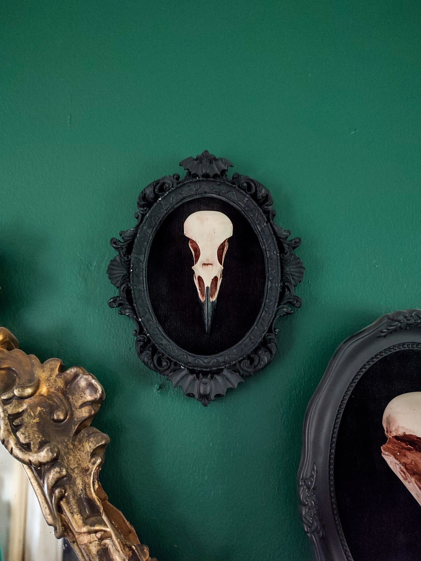 Framed Crow Skull Wall Art