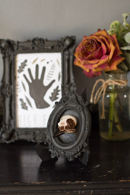 Framed Magpie Skull, 3D Gothic Wall Art