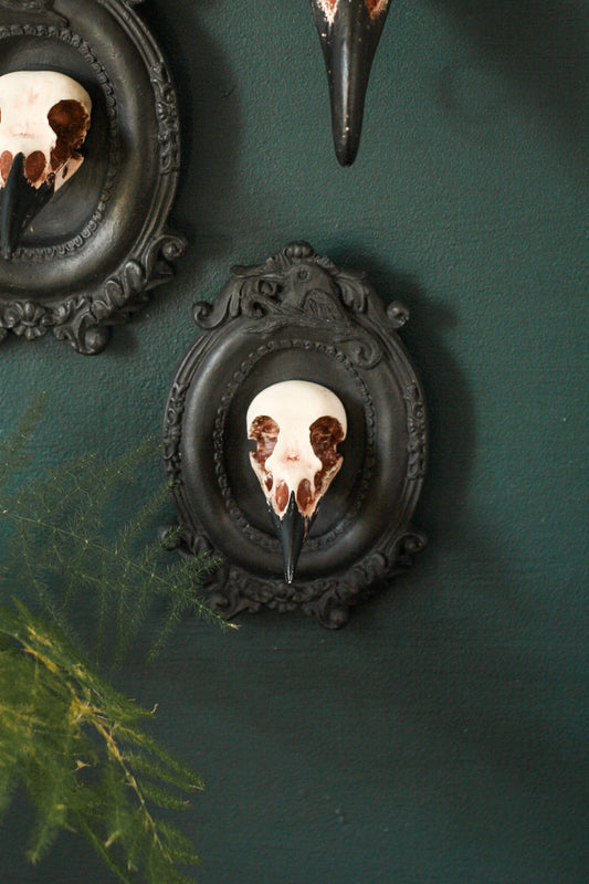 Framed Magpie Skull, 3D Gothic Wall Art